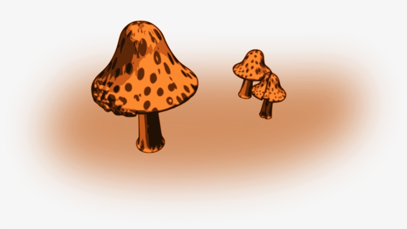 Mushrooms Png, transparent png #1062342