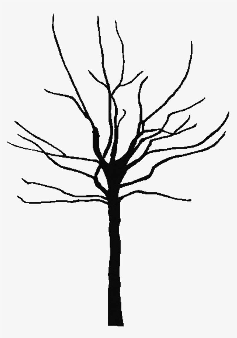 Clip Art Family Tree Outline - Tree Trunk Silhouette Png, transparent png #1062802