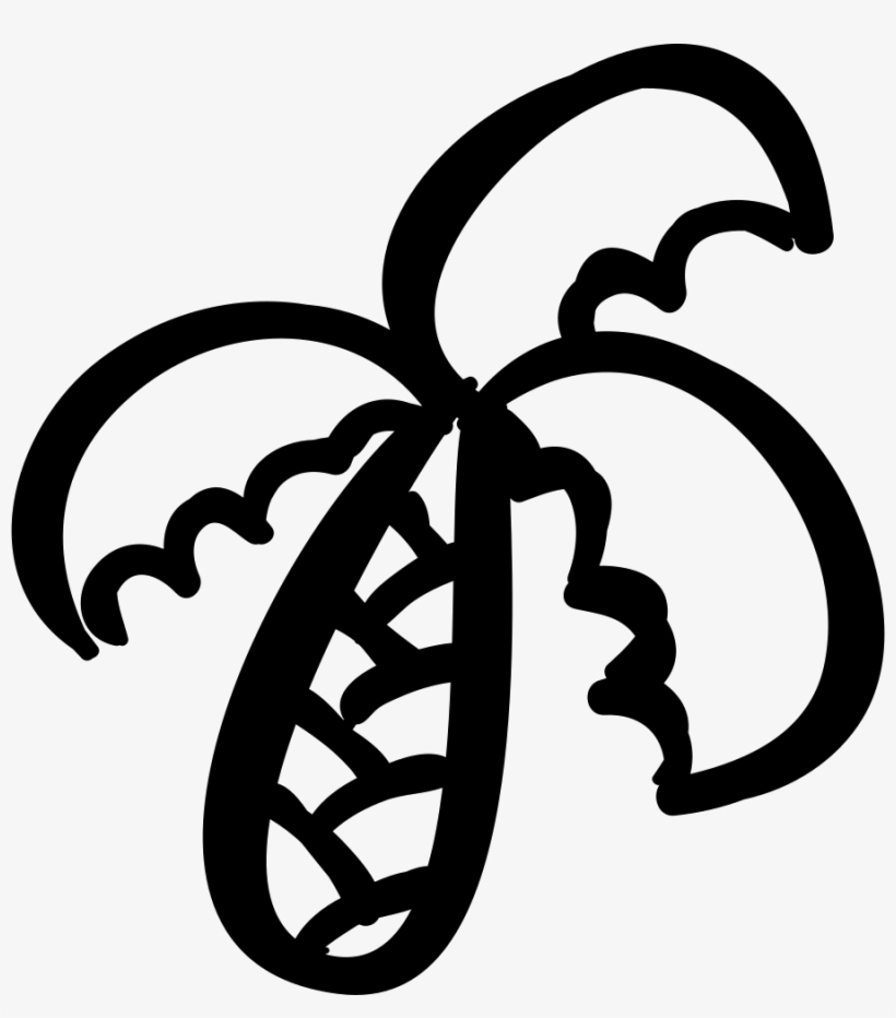 Tropical Palm Tree Outline - Palm Trees, transparent png #1063119