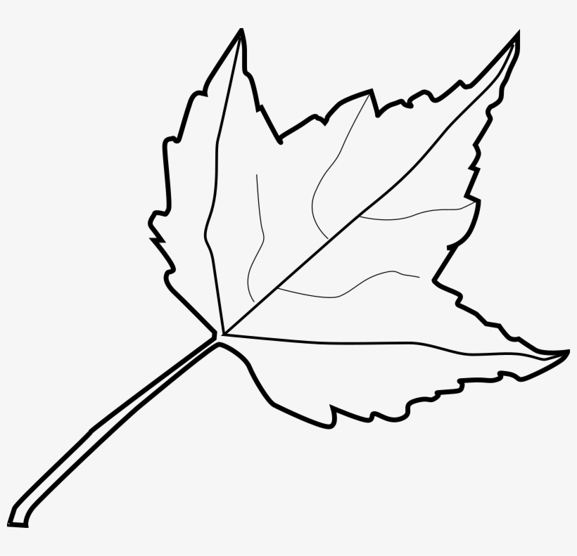 Leaf Outline Tree Outline With Leaves Clipart - Clip Art Black And White Leaf, transparent png #1063147