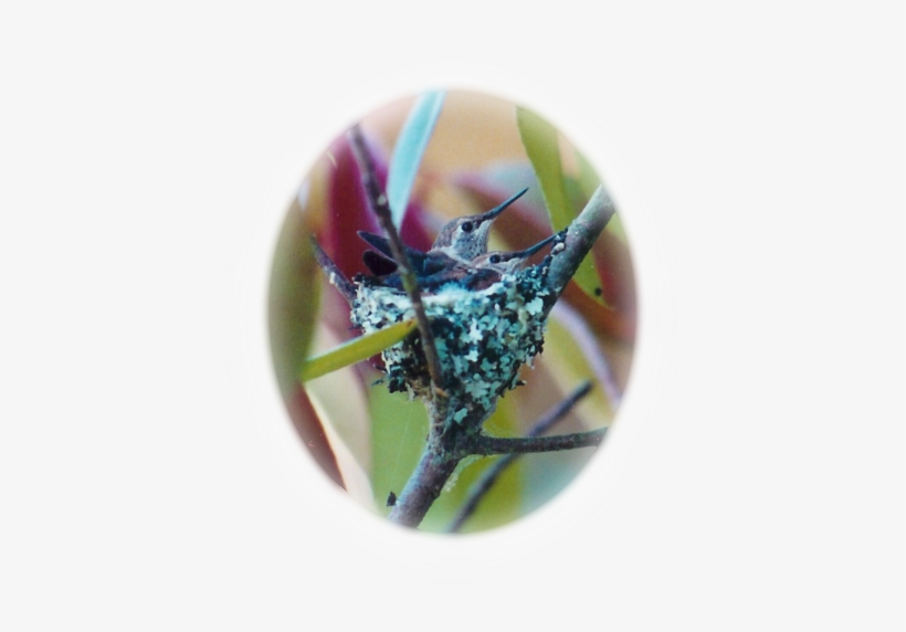 Example Oval-fade - Paint.net, transparent png #1063227