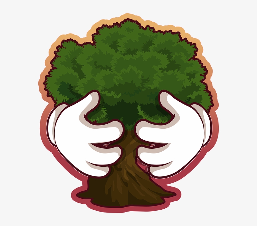 Save Tree Png Pic - Tree Conservation, transparent png #1063473