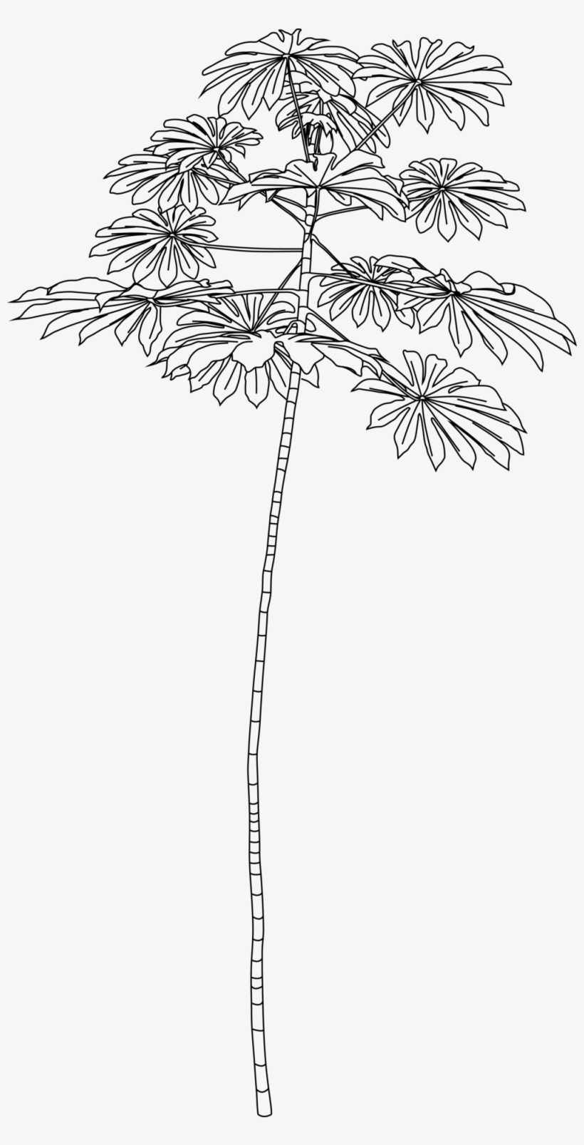 Colony23outline - Line Art, transparent png #1063529