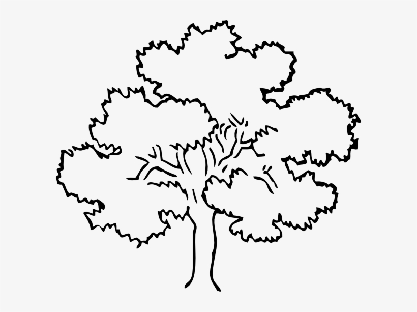 Oak Tree Clip Art At Clker Com Vector Clip Art Online - Rainforest Tree Coloring Pages, transparent png #1063642