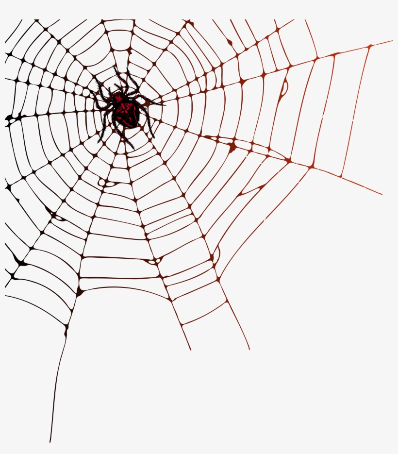 Spider Web Png Clip Art Image, transparent png #1063748
