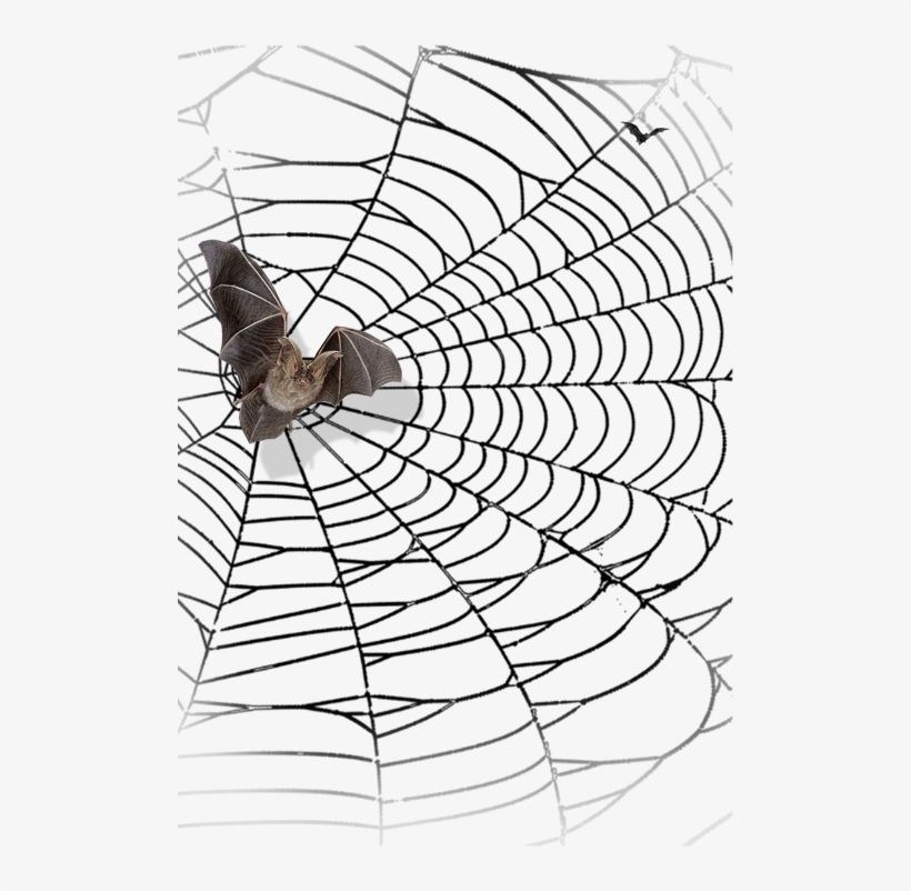 Halloween Cobwebs Clipart - Teralaña Halloween Png, transparent png #1063859