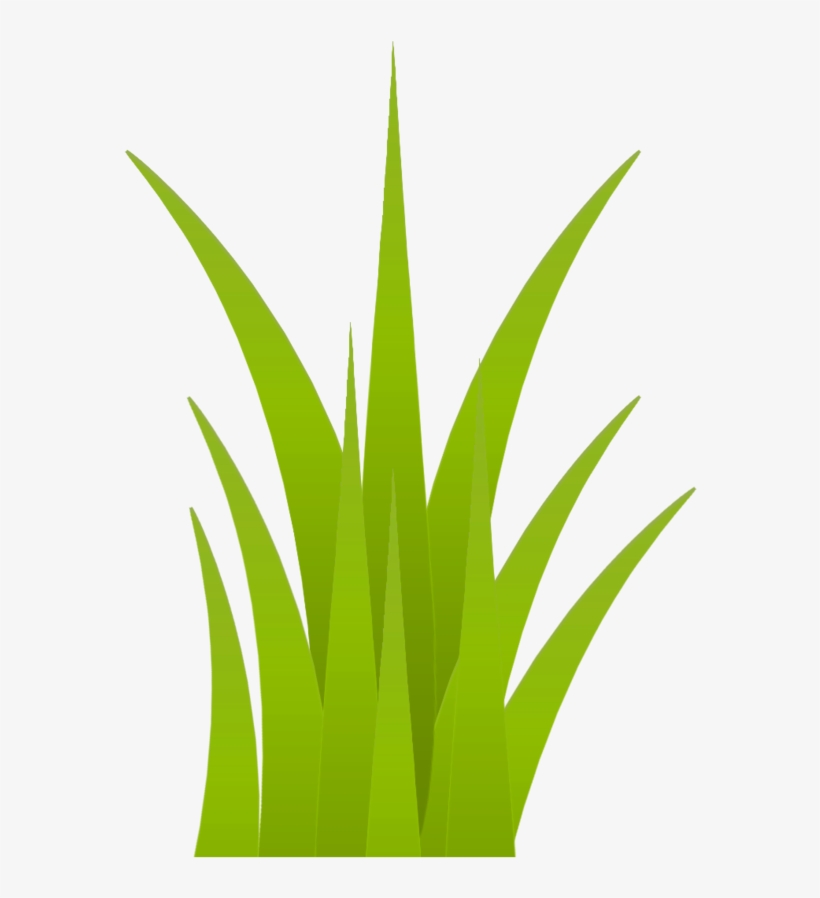 Grama 1 Year, Safari, Stencils, Grass, Vinyls, Leaves, Grass Free