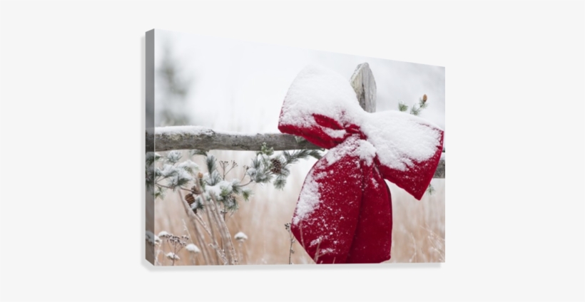 Fresh Snow On Holiday Bow And Decorations On Fence - Printscapes Wall Art: 36" X 24" Canvas Print With Black, transparent png #1064449