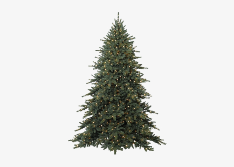 Arboles Navidad Png10 - Fraser Fir Tree, transparent png #1064905