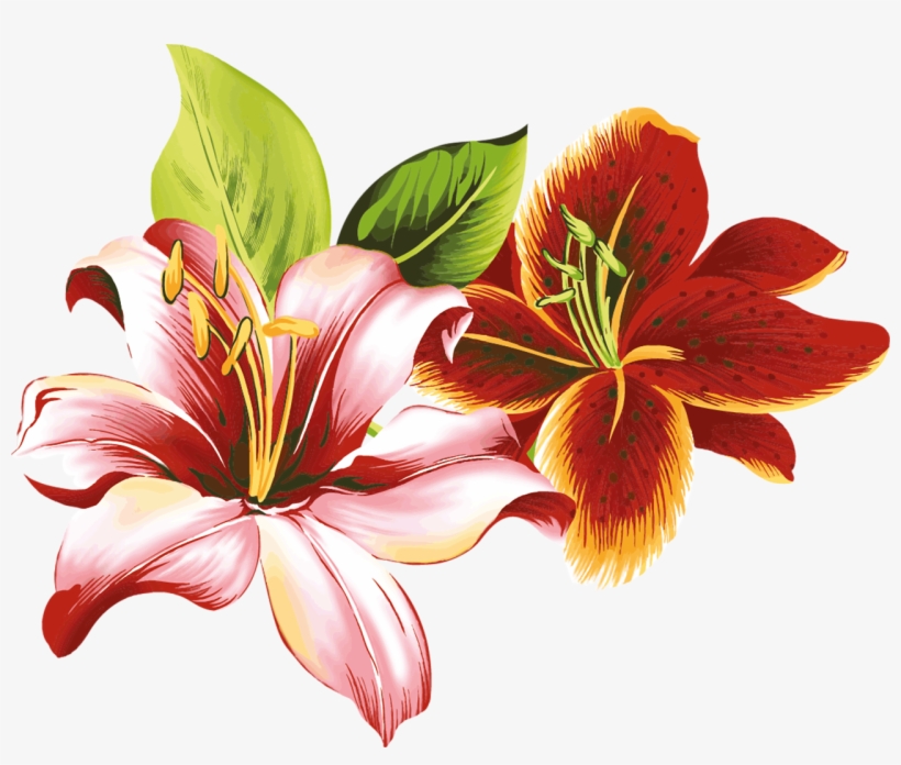 Flores Vectoriales Con Fondo Transparente - Fleur De Lili, transparent png #1064957