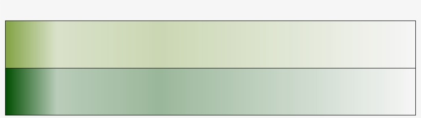 Hakonechloa Macra 'aureola' “golden Hakon Grass” The - Beige, transparent png #1065191