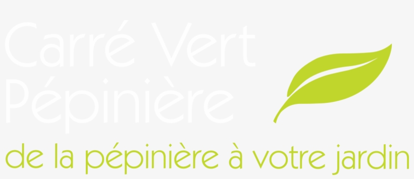 Carré Vert Pépinière - Hydrangea, transparent png #1065279