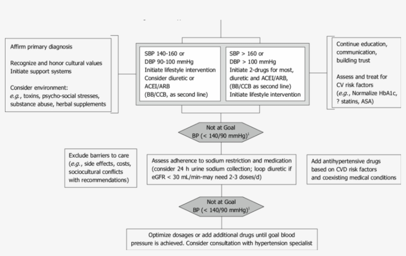 Algorithm For Hypertension Treatment In African American - African American Hypertension Medication, transparent png #1065280