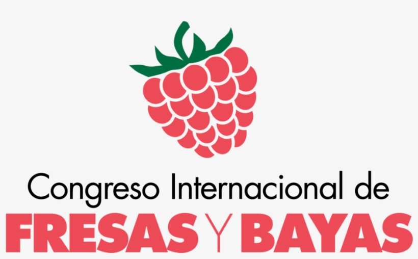 Mejor Ejemplo Que El De La Industria Denominada De - Anadolu Hayat Emeklilik A.s, transparent png #1065418