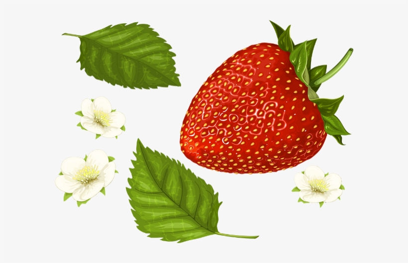 Fraise Png, Tube - Strawberry - Fraise - Skull Manches Longues,t-shirt, transparent png #1065495