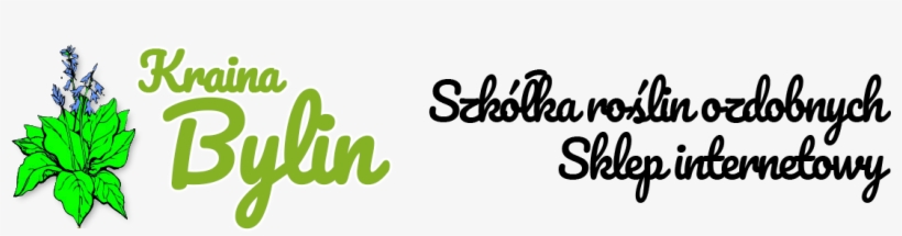 Krainabylin - Pl - Calligraphy, transparent png #1065499