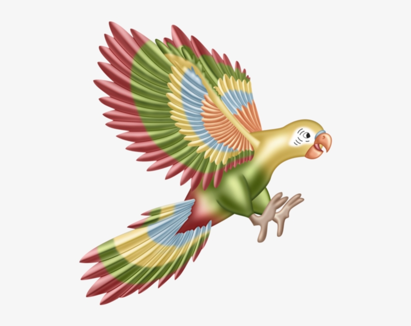 Bird, transparent png #1065961