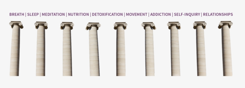 9 Pillars Of Wellness - Wellness, transparent png #1067611