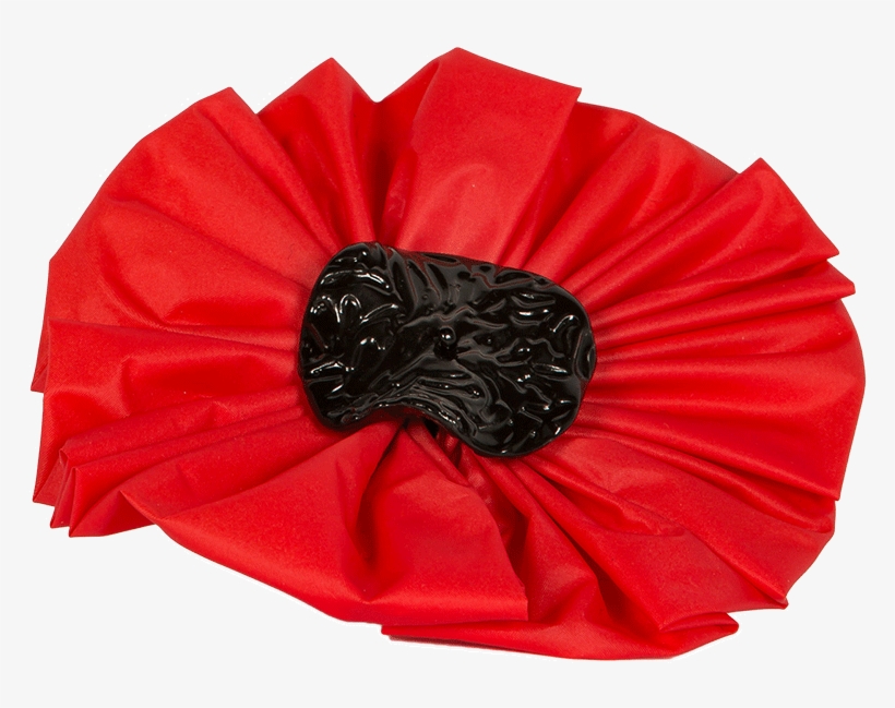 7x5a4142 Poppy Recycled 768x569px - Fallen Poppy Petals Png, transparent png #1068053