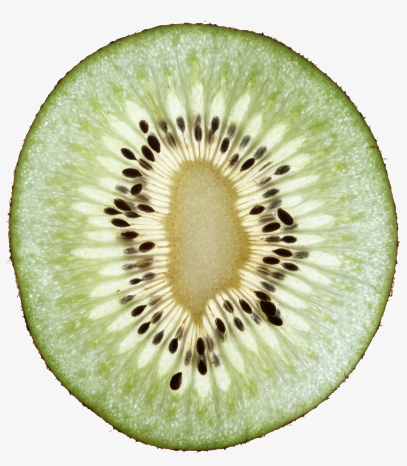 Go To Image - Kiwi Head Png, transparent png #1068664