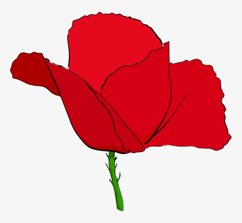 Poppy Clipart Public Domain - Red Image Of Poppy Flower, transparent png #1069123