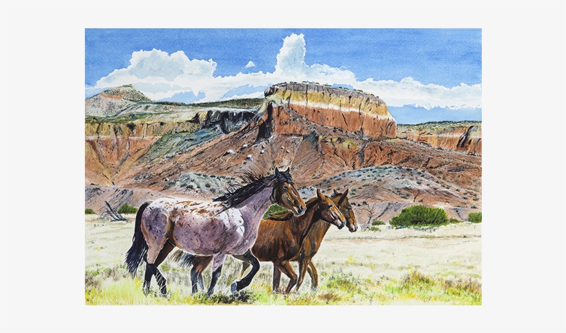 Abiqui Mustangs - Mare, transparent png #1069148