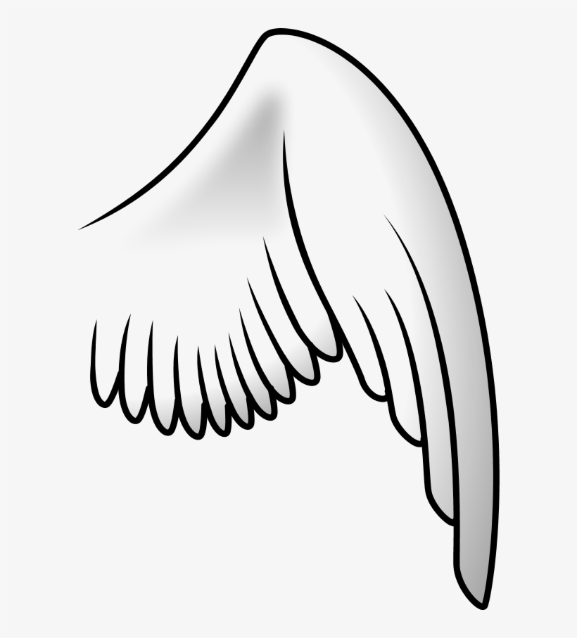 Free Pictures Of Angels With Wings - Bird Wing Clipart, transparent png #1069239