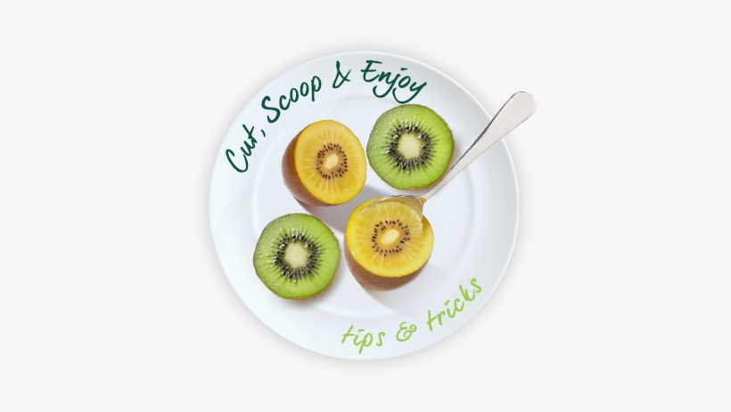 Our Juicy Zespri Kiwifruits Make Your Taste Buds Feel - Maiko Rahmen Mit Led-beleuchtung Enjoy Today, transparent png #1069551