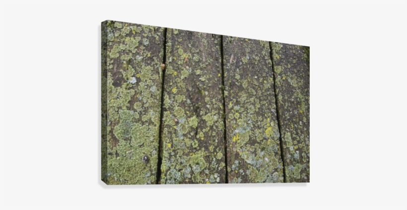 Close Up Of The Wooden Planks On A Picnic Table Covered - Supplier Generic Close Up Of The Wooden Planks On A, transparent png #1069929