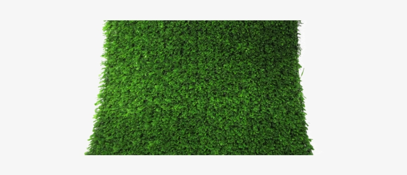 Xgbc - Lawn, transparent png #1070385