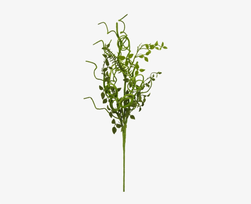 Image - Grass, transparent png #1070694
