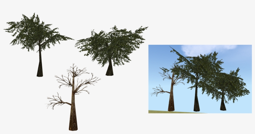 Moss Transparent Tree Png, transparent png #1070829