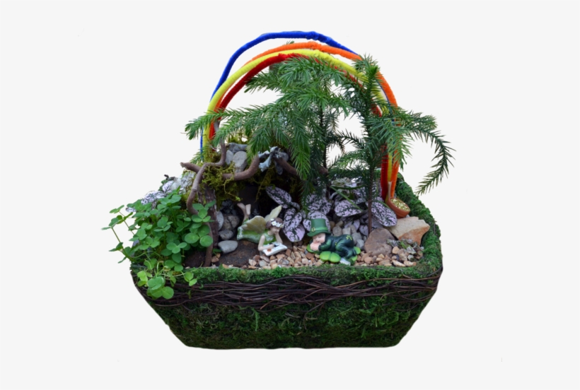 Leprechaun Fairy Garden Workshop - Sageretia Theezans, transparent png #1070872