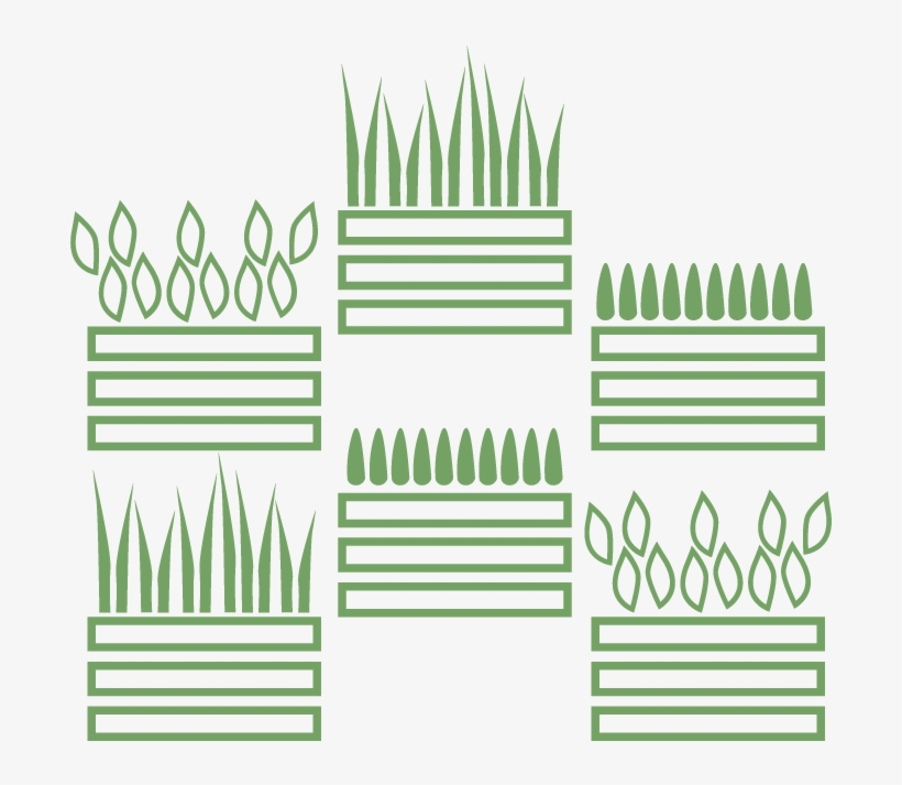 Moss Wall, Living Wall, Live Wall, Green Wall, Plant - Drawing, transparent png #1070978