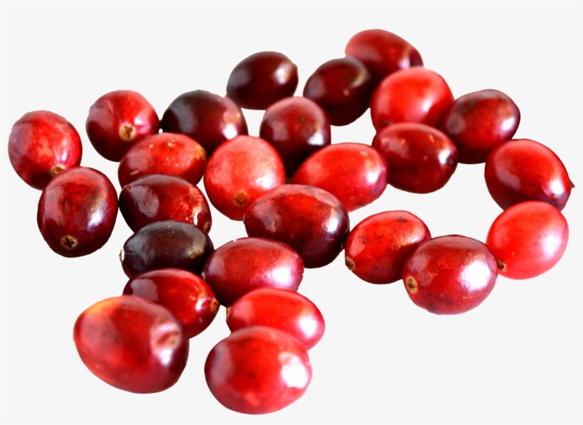Cranberry Vs Red Currant, transparent png #1071454