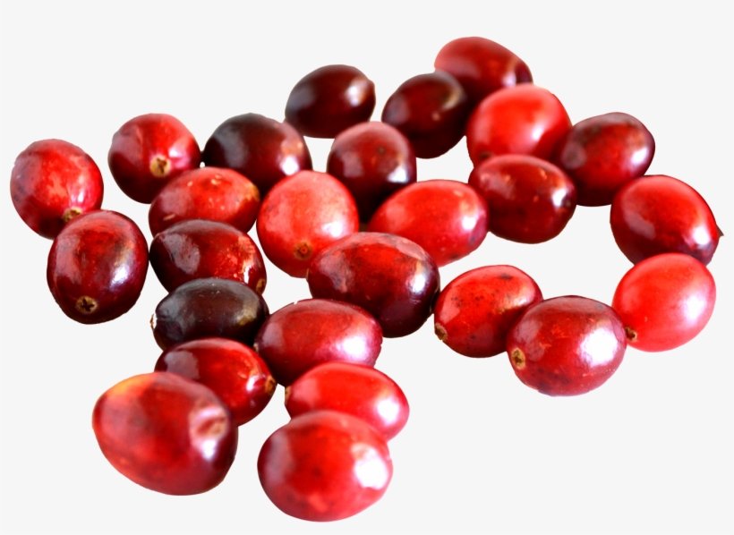 Cranberry Vs Red Currant, transparent png #1071454