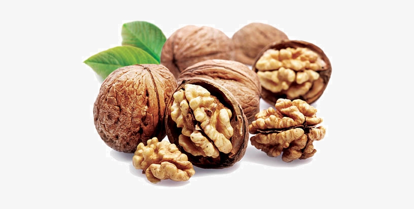 The Uses And Benefits Of Walnuts And Walnut Oil - Walnut Meaning In Telugu, transparent png #1071460