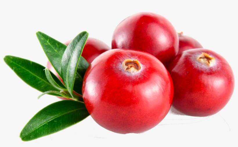About Cranberries - Transparent Cranberry Clipart, transparent png #1071513