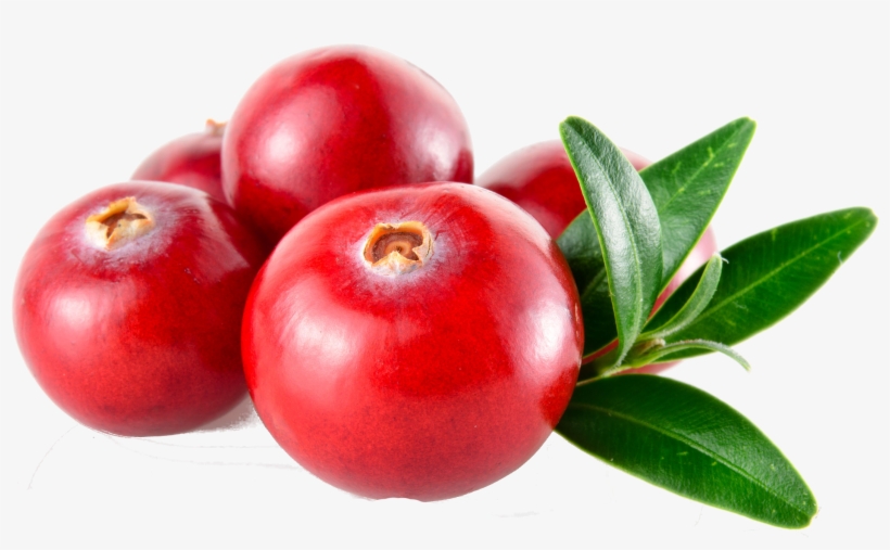 For A Healthy Lifestyle - Cranberry Concentrate Supplements Pills For Urinary, transparent png #1071535