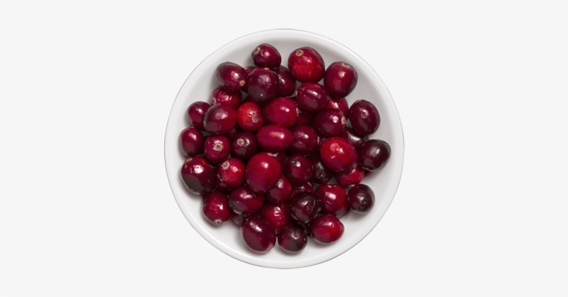Cranberries - Textile, transparent png #1071606