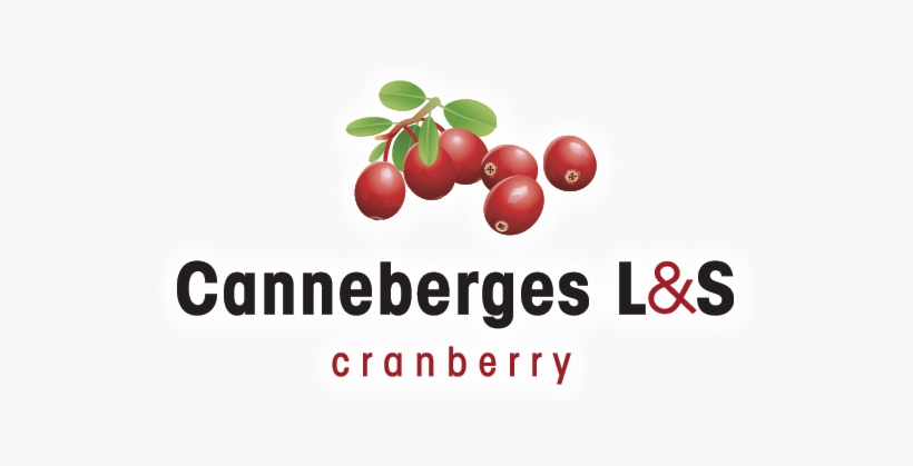 Lingonberry, transparent png #1071965
