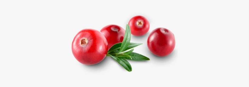 Cranberry Transparent, transparent png #1071970