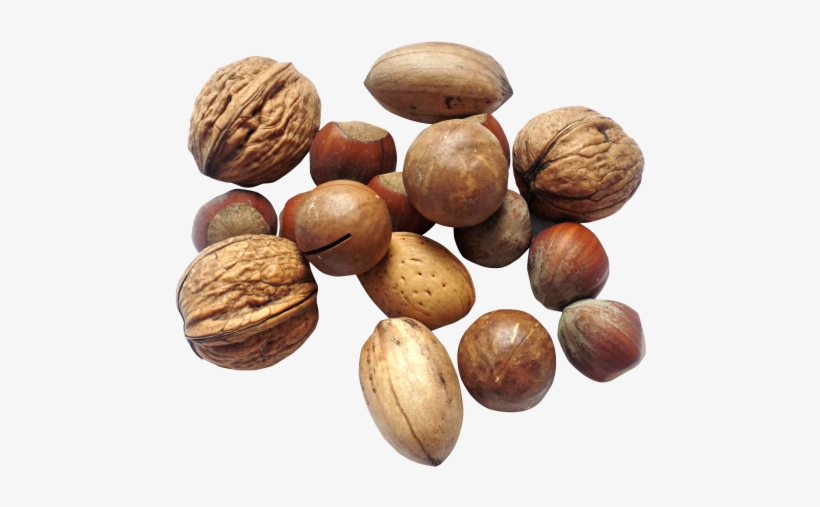 Nut Png Transparent Image - Nut Png, transparent png #1072073