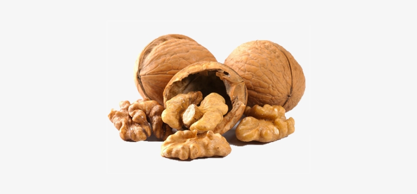 Walnuts Seeds, transparent png #1072093