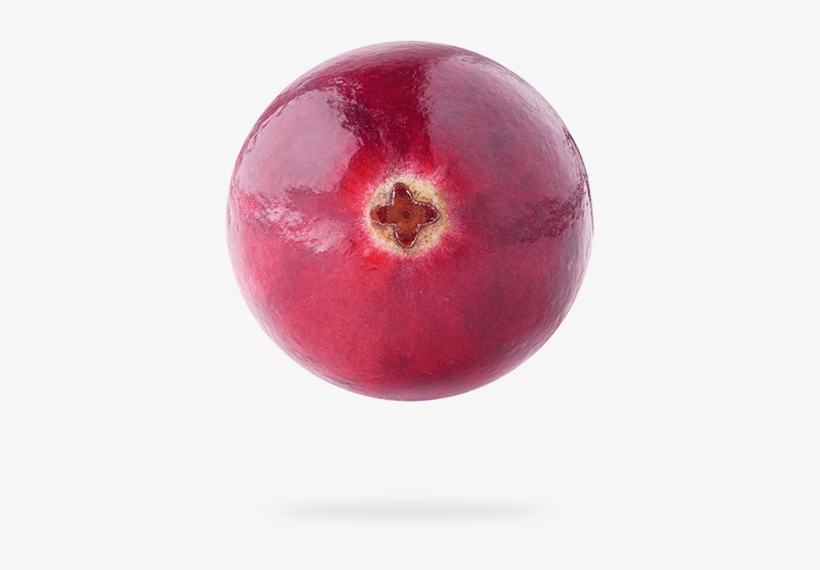 Healthy, Tasty, Low-sugar Snacks - Nectarine, transparent png #1072280