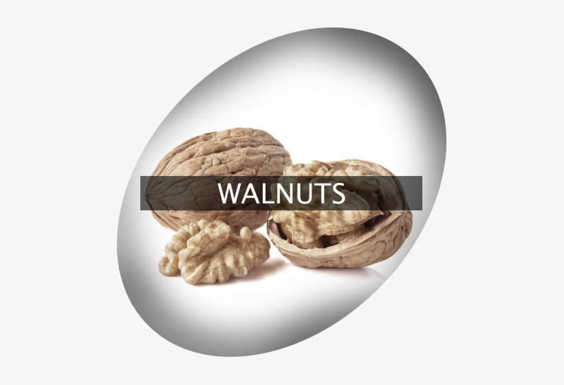 Landingimage Igrow Walnuts - Walnut, transparent png #1072408