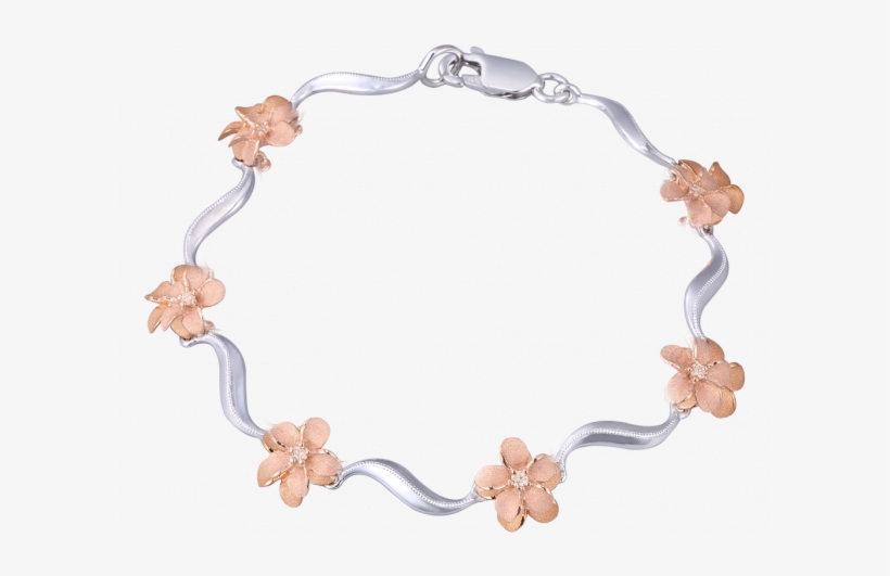 Frangipani, transparent png #1072659