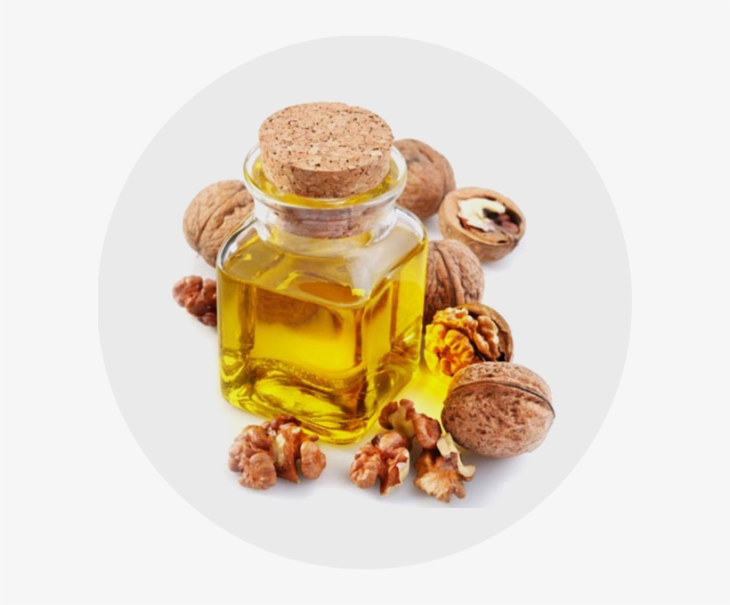 Walnut Oil - Walnuts Oil, transparent png #1072683