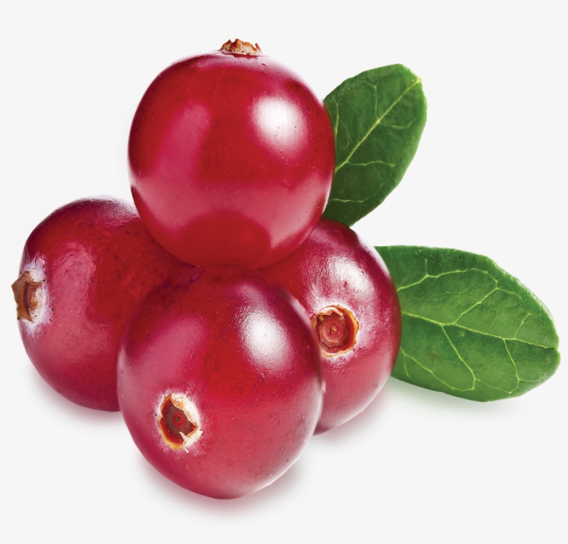 Collection Scent - Cranberries - Cranberry Lamberts, transparent png #1072942