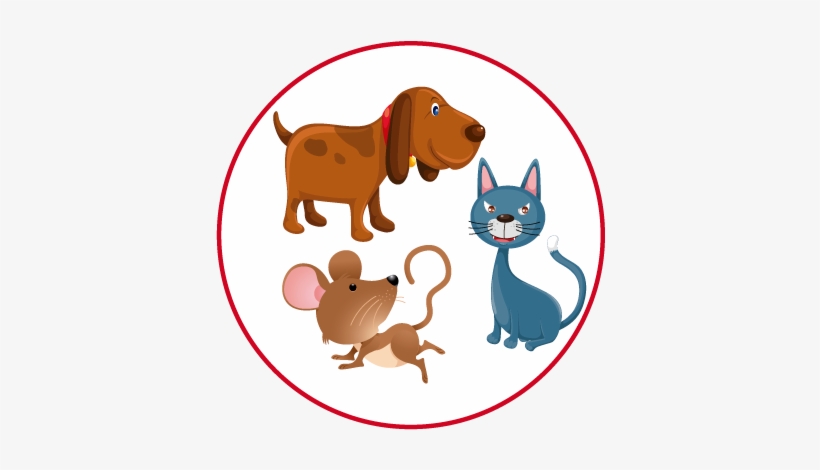 Conjunto-animales - Conjunto De Animales Diagrama De Venn, transparent png #1074858